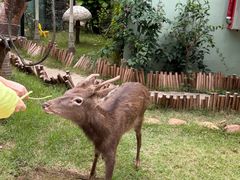 -正佳雨林生态植物园