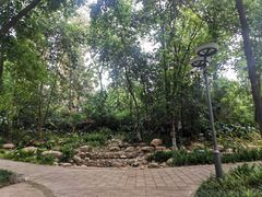 -成都市活水公园