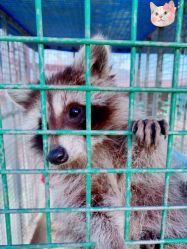 -萌宠亲子动物乐园(槐房万达店)