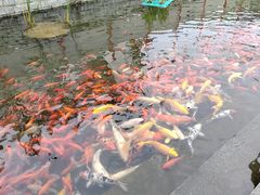 -济南方特东方神画