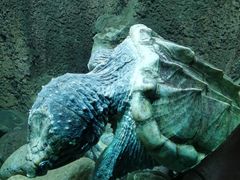 -太平洋海底世界