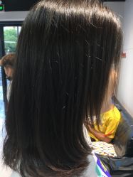 点击看大图 -丝语萱形象