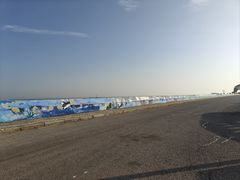 -南汇嘴观海公园