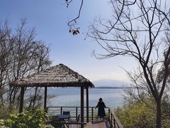 -中海·庐山西海君澜度假酒店·味屿全日制餐厅