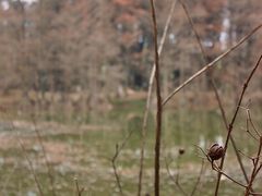 -华南国家植物园-售票处