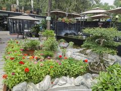 -蘇河湾·新鲁菜·泰山宴(泰山店)