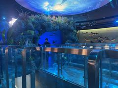 -陕西自然博物馆