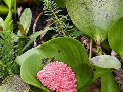 -白鹭湾湿地公园