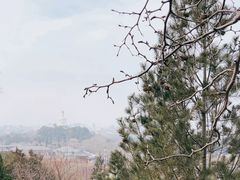 -景山公园