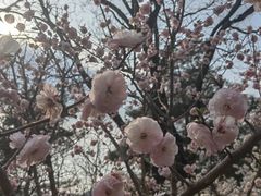 -北京鹫峰国家森林公园