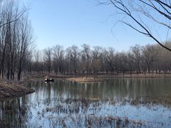 -东郊湿地公园