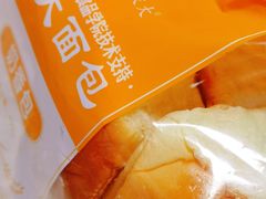 -东北农业大学