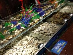 -蒙肥羊·酸汤潮牛·鲜牛肉火锅烤肉自助(岗顶店)