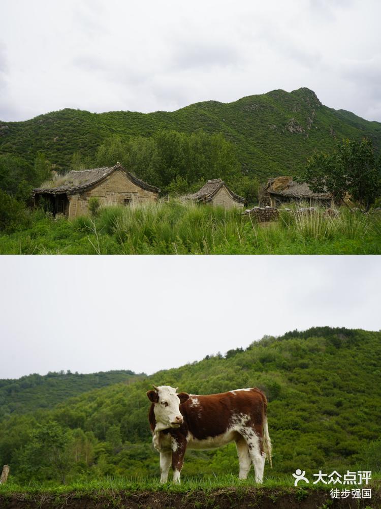 大黑峰高山草甸,快来避暑吧-大众点评