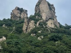 -大岭沟猕猴桃谷风景区