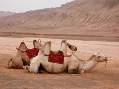 -火焰山景区(火焰山镇)