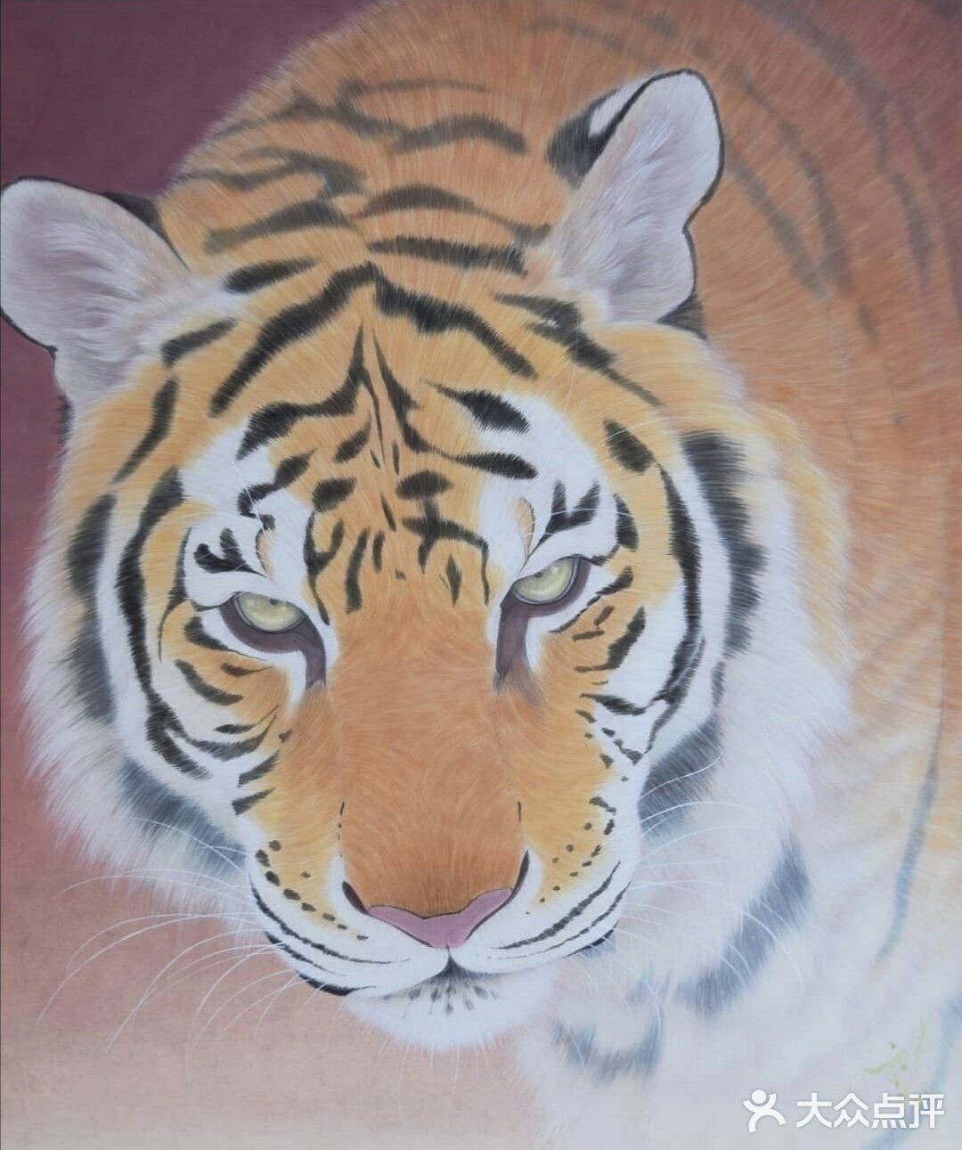 老虎的画法眼睛图片