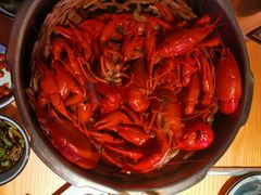 高压锅蒸龙虾-蚝翅·海鲜粥·烧烤·宁夏滩羊季(玉米楼店)