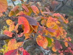 -北京西山国家森林公园