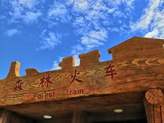 -南戴河国际娱乐中心