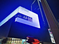 -TESLA 特斯拉(郑州正弘城体验店)