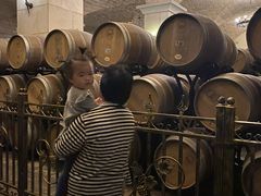 -北京张裕爱斐堡酒庄