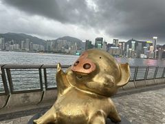 -星光大道