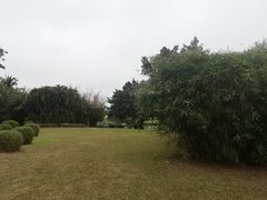 -万绿园