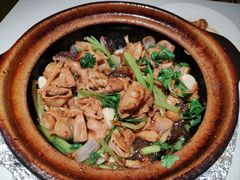 -煲煲好(朝阳门店)