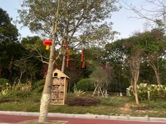 -东莞市大岭山森林公园