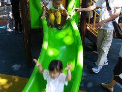 -晓港公园