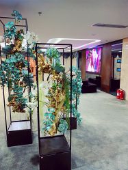 -北京炫美医疗美容