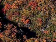 -狼牙山风景区