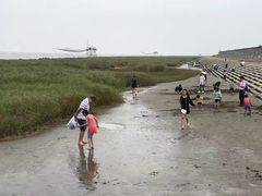 -南汇嘴观海公园