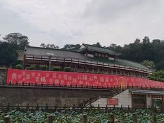 -三水森林公园