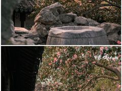 -沧浪亭