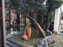 点击看大图 -保丽宝泰母婴护理院·月子中心·产康·中医(常州店)