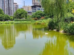 -木塔寺遗址生态公园