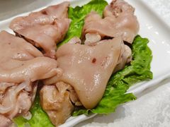 -丁老爷子苏香圆