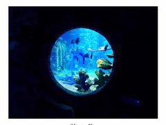 -梦幻海洋王国(吾悦广场张家港店)