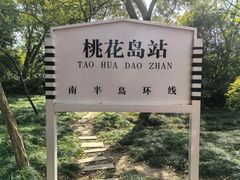 -金鸡湖桃花岛