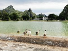 -Club Med地中海俱乐部·桂林度假村