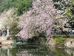 -星湖旅游景区七星岩