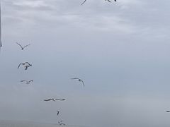 -长岛南北长山旅游景区