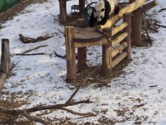 -沈阳森林动物园