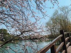 -苏州太湖国家湿地公园