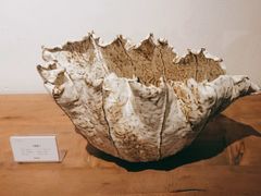 -瓦库茶馆17号(海汇港店)