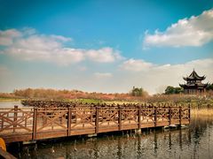 -上海海湾国家森林公园