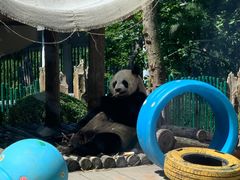 -大连森林动物园