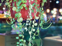 -美森西餐厅(曙光大道店)